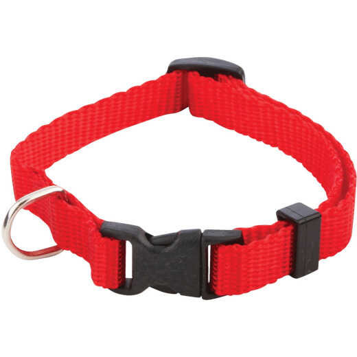 Westminster Pet Ruffin' it Adjustable Pat Collar with Snap Buckle Clasp
