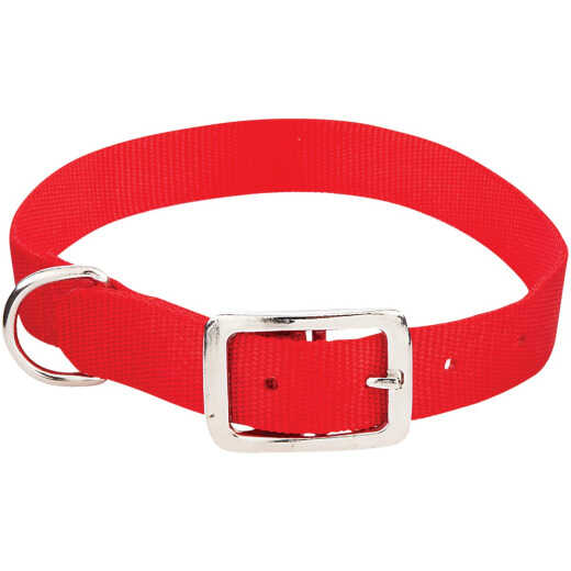 Westminster Pet Ruffin' it Adjustable 22 In. Nylon Dog Collar