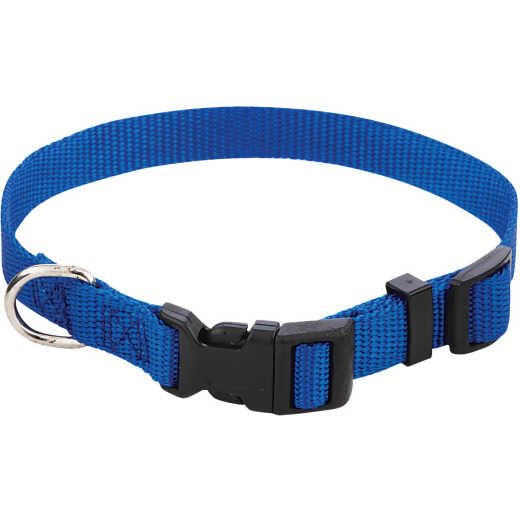 Westminster Pet Ruffin' it Adjustable 10 In. to 16 In. Nylon Dog Collar